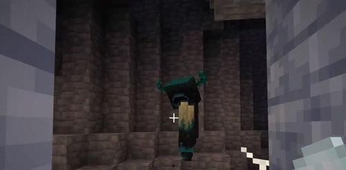 新我的世界爆料视频