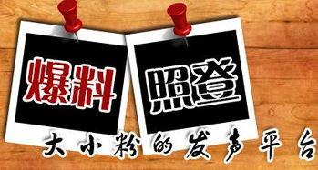 庆阳本地新闻爆料平台有哪些,聚焦本土资讯的多元窗口