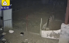 吉林陨石爆料视频,揭秘天外来客神秘面纱  第2张