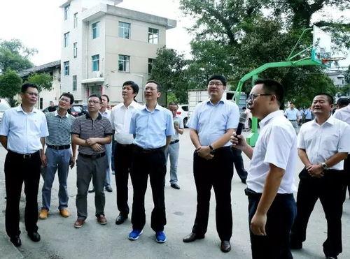 玉山新闻爆料事件始末最新消息,真相大白，最新进展全解析  第2张