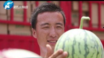 瓜 在线观看,在线观看,尽享视觉盛宴 第3张 瓜 在线观看,在线观看,尽享视觉盛宴 第3张